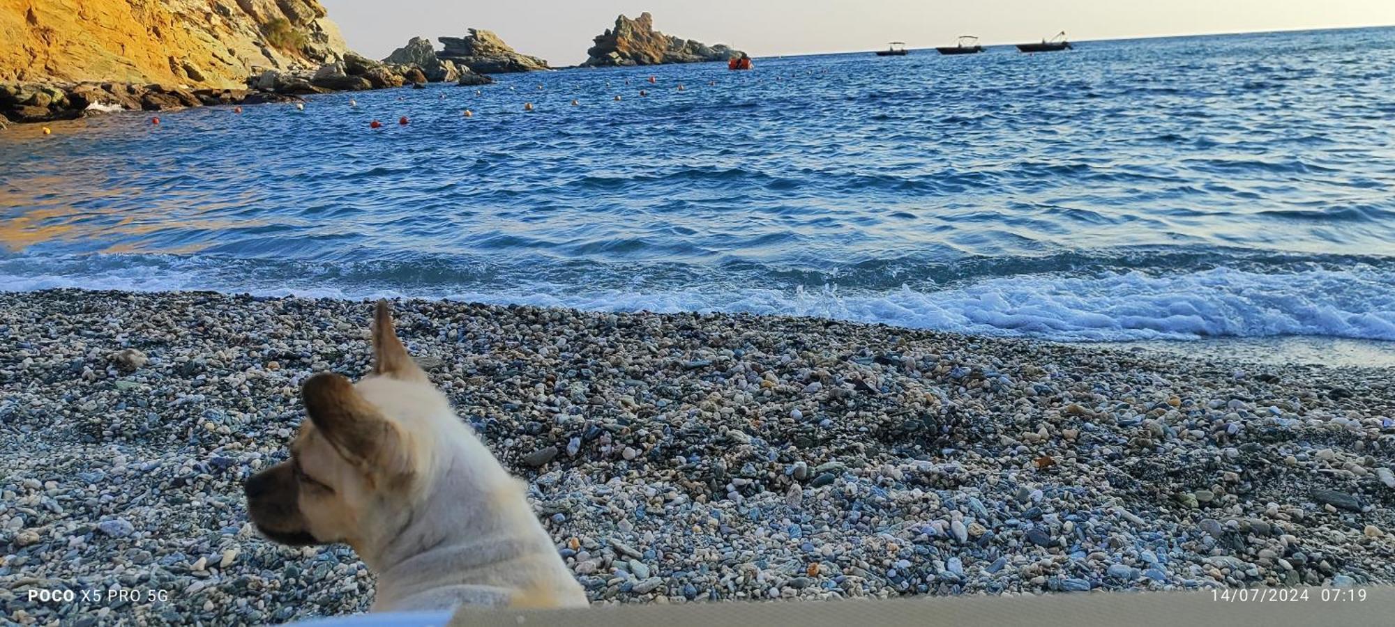 Mades Magic Place Agia Pelagia Kythira المظهر الخارجي الصورة